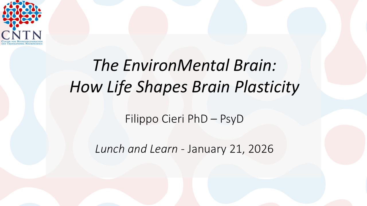 The EnvironMental Brain - How Life Shapes Brain Plasticity